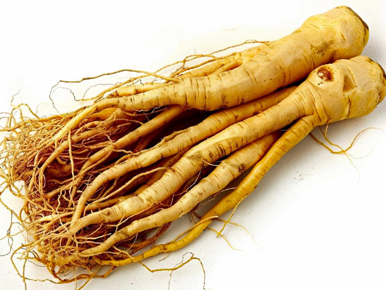Ginseng utilisation