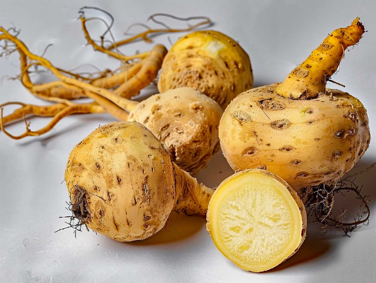 Maca effets